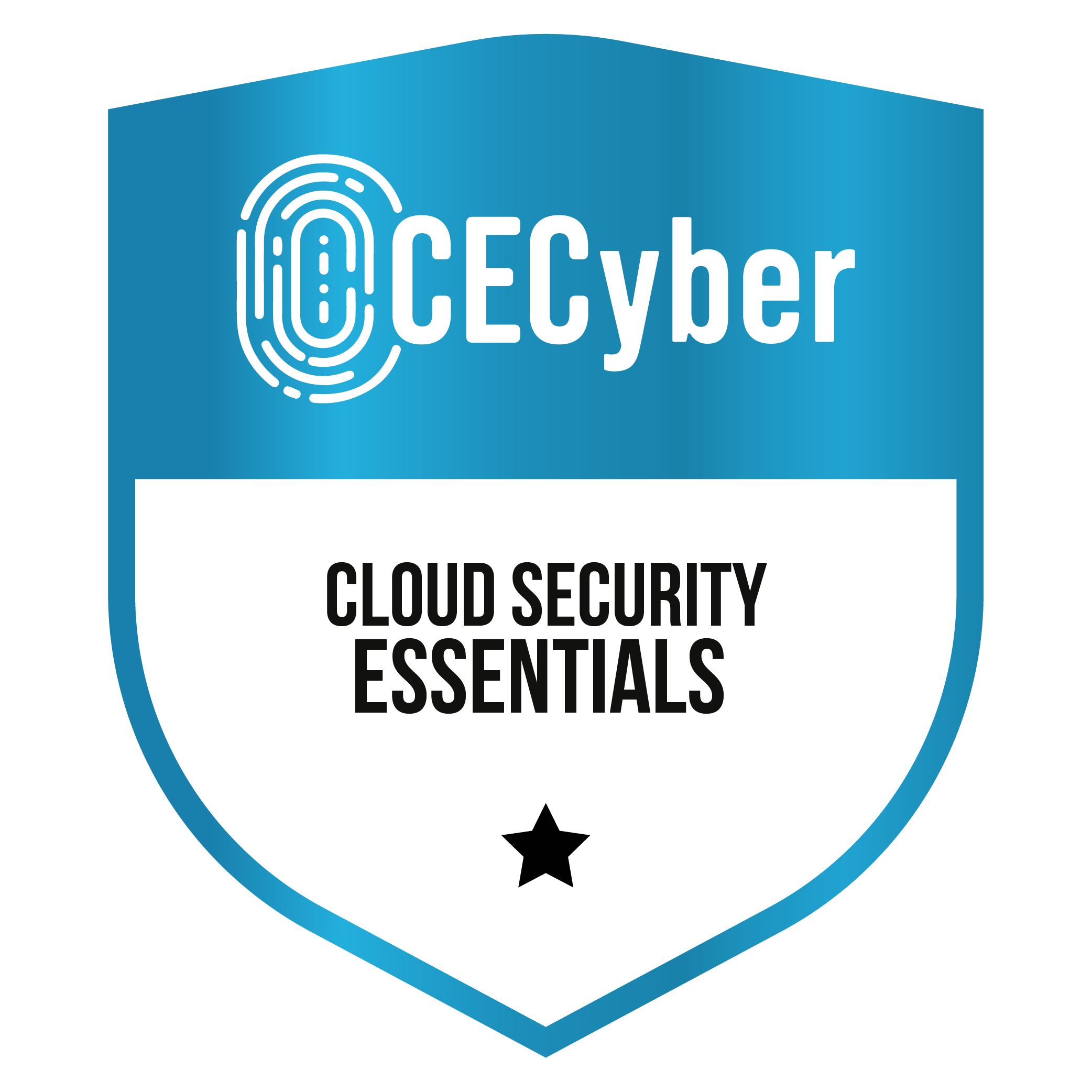 Cloud Security Essentials CECyber