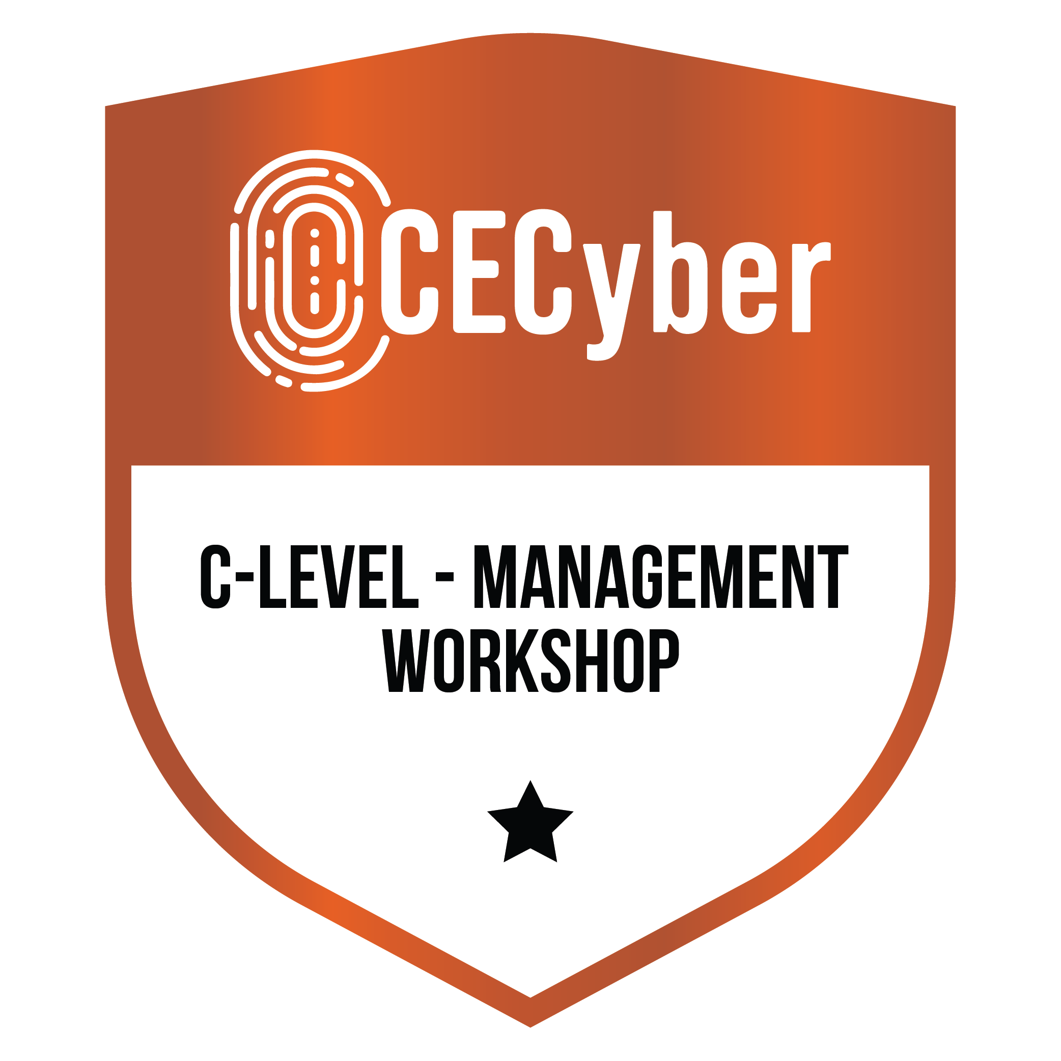 C-Level - Management Workshop
