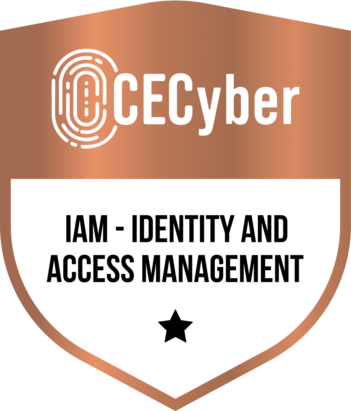 Logo IAM