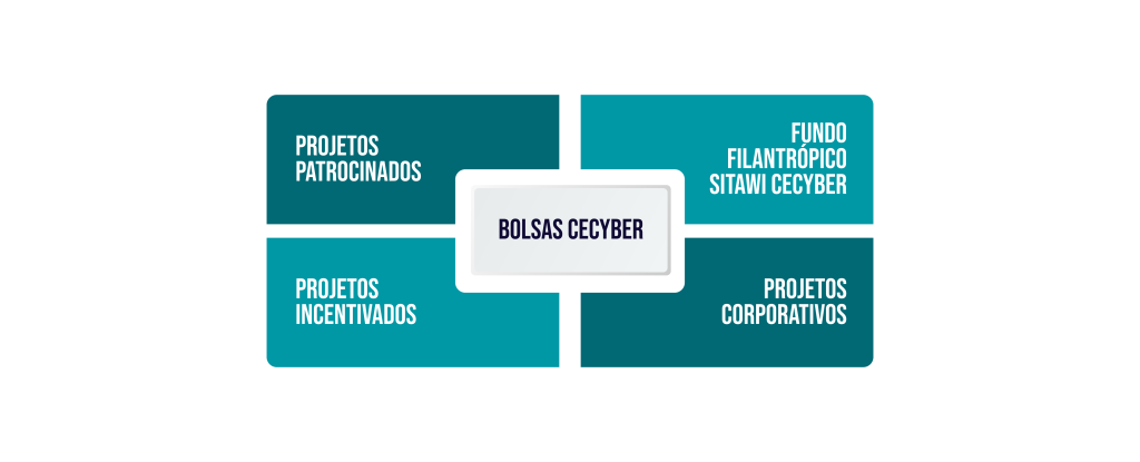 Fluxograma bolsas CECyber